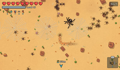 A spider spins webs across the sand